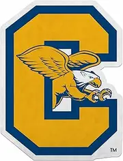 Rico Industries NCAA Canisius Golden Griffins Shape Cut Pennant - Home and Living Room Décor - Soft Felt EZ to Hang