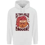 Christmas Cat Is This Jolly Enough Funny Childrens Kids Hoodie
