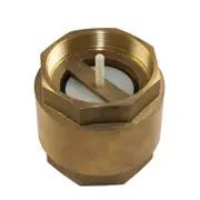 Brass Spring Check Valve - General Purpose Non Return Valve