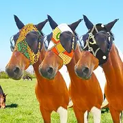 3 Pack Horse Fly Mask with Ears | Breathable Fabric Fly Mask for Horses | Fly and UV Protection, Comfortable and Protective