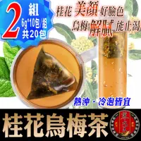 在飛比找momo購物網優惠-【蔘大王】桂花烏梅美顏茶包X2組（6gX10入/組）(解渴美