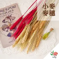 在飛比找PChome24h購物優惠-【極度花燥】乾燥小麥麥穗