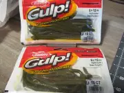 2 Packs Berkley Gulp Fishing Baits - 6" NightCrawler Worms - Green Pumpkin Color