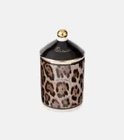 [Dolce & Gabbana Casa] Dolce & Gabbana Casa Patchouli glass scented candle
