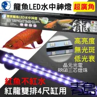 在飛比找蝦皮購物優惠-【青島水族】USB 4尺 120cm 台灣泡泡龍-LED水中