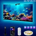 Remote TV Backlights with Camera RGB LED Strip Lights Music Sync Screen Ambient