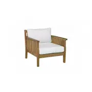 Arizon Sofa Arm Chair Furniture For Home And Garden Sofas Armchairs & Couches