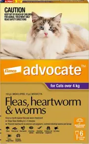 Cat, Monthly Spot-On Protection from Fleas, Heartworm and Worms, Six Pack Flea T