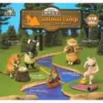 全套5款 日本正版 朝隈俊男 ANIMAL CAMP P4 扭蛋 轉蛋 動物露營 UNION CREATIVE - 714248