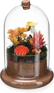 HAKIDZEL Micro Landscape Terrarium Glass Dome Planter Unique Home Office Decoration Stable Base Design Versatile Container for Indoor Gardens Choice