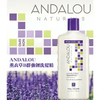 在飛比找蝦皮購物優惠-【美麗天天go】ANDALOU 安德魯 薰衣草B群強韌洗髮精