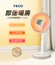 台灣製造，品質保證【TECO 東元】 14吋碳素電暖器(YN1406AB)