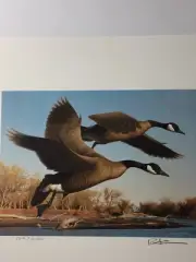 1St State Duck,1990,Colorado,Robert Steiner,Folder,1Mint Stamp. Excellent, Mint.