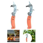 Fruit Tree Ring Cutter Ergonomic Handle Practical Ring Strippers Pliers