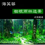 @墨耘@海芙蓉 樹根 水族 造景 木材 流木 沉木 老闆嚴選 樹幹 直條 雨林 造景 森林景 棲息木 兩棲