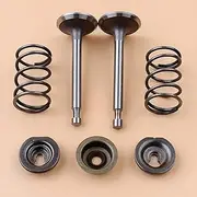 Fittings of a Machine for GX160 GX200 168F 5.5HP 6.5HP 2kw-3kw Gas Engine Motor Generator Intake Exhaust Valve Spring Stem Seal Kit
