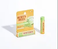 在飛比找旋轉拍賣優惠-Burt’s Bees 小黃瓜薄荷護唇膏4.25g