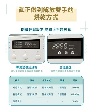 【現貨】智慧烘乾箱 家用烘乾機 自動恆溫底下吹風小型吹乾機 60L大空間 寵物烘毛箱 烘乾機 烘乾機