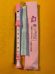 Beginners Recorder/Song Flute Pink with Books