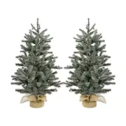 Fraser Hill Farm 2-Ft. Prelit Heritage Pine Accent Tree in Burlap Bag with Wa...