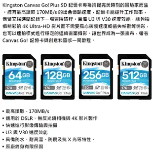 Kingston 金士頓 256G SDXC (U3)(V30) 記憶卡 (SDG3/256GB) (4.4折)