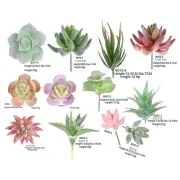 12pc Assorted Artificial Succulents Fake Plants for Office and Home Decoration