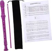 CIMAXIC 1 Set 8 Soprano Recorder Flute Instrument for Beginners with Cleaning Rod Storage Bag Safe Material Sound Fashionable Design for Teens and Students