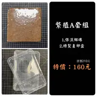 在飛比找蝦皮購物優惠-<爬爬食堂>繁殖A套餐   孵蛋 產卵 豹紋守宮 肥尾守宮 