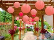 12x pink paper lanterns engagement wedding birthday anniversary party decoration