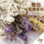 整包 乾燥星辰花 極度花燥 乾燥花 乾燥花材 永生花 不凋花 星辰 白色 紫色 滿天星 情人節 蠟燭 勿忘我