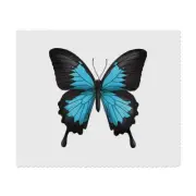 2 x 'Blue Ulysses Swallowtail Butterfly' Lens Cleaning Cloths (LC00026654)