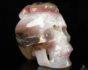 5.1" Agate Hand Carved Crystal Skull Fine Art Sculpture, Crystal Healing