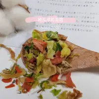 在飛比找蝦皮購物優惠-🌸地瓜球的窩窩🌸日本馬卡綜合蔬菜乾 一線鼠 三線鼠 老公公 