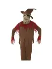 Teen Pumpkin Scarecrow