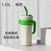 1.25L Tumblers With Handle Insulated Mugs With Lids And Straws Light Green
