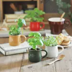 VERDE CAFE-ESPRESSO造型種植盆器/咖啡杯 (日本正版授權/咖啡店/香草植物/咖啡控/禮物)