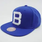MENS MITCHELL & NESS MLB BACK TO BASICS SNAPBACK COOP DODGERS - BLUE