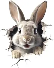 Rabbit Wall Stickers - Wall Art Decals Nursery Animal Decor - Cute Cartoon Rabbit Sticker, Kids Playroom Decoration for Bedroom, Window