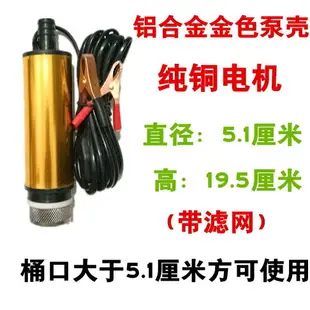 電動抽油泵12v24伏通用小型接電瓶抽水泵家用抽油神器機自吸加油