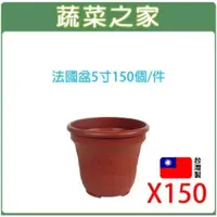 在飛比找momo購物網優惠-【蔬菜之家】法國盆5寸150個件(花盆 塑膠花盆 蔬菜盆 育