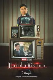 Wanda Vision Movie Poster 18'' x 28'' ID: 10