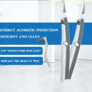 LED Lighting Sonic Vibration Electric Scaler Calculus Remover Dental Irrigator A