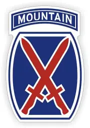 3pcs 10th Mountain Division Hard Hat Decals Helmet Stickers Military Army USA
