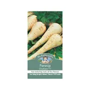 Mr Fothergill's Parsnip Gladiator F1 Seeds