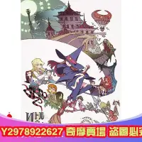 在飛比找Yahoo!奇摩拍賣優惠-小魔法學園 2013 吉成曜 絕版電影 DVD