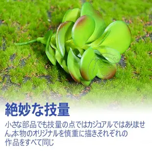 【培菓平價寵物網】仿真多肉植物沙漠玫瑰