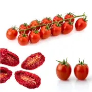 Tomato - Principe Borghese seeds
