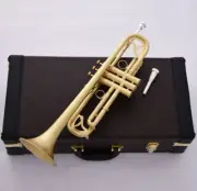 Professional Matt Brushed Bb Trumpet Horn Monel 2-Mouthpiece Leather Case