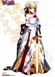 Young Ace Fate/stay Niight Saber Special Big Poster with Tracking No.