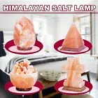 Himalayan Salt Lamp Carved Shape Natural Pink Crystal Rock Light Decor